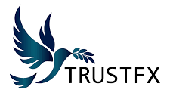 TrustFX Bericht
